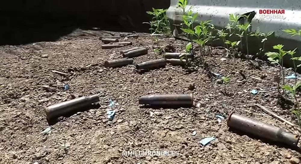 ������ ��� � �������� � ����� ��� ��������� ������� ����������� ���������� ��������, ������������� �� 15 ���