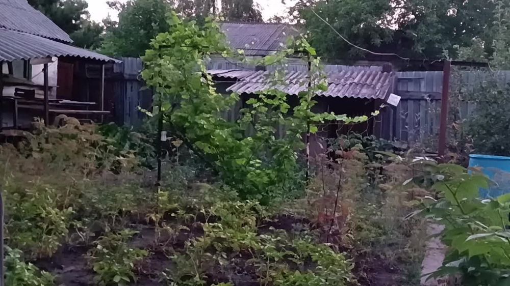 ��������: ���� �������, ����� ��� ������, � ���� �������� ������ ������ � ���������� �������� �� ������� ���������� ��������