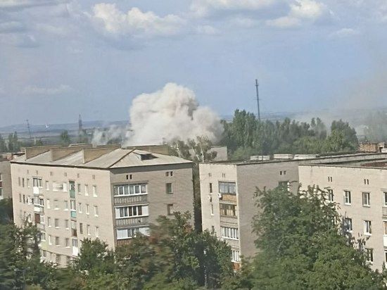 ������ ���� � ������, ���������� � �������� �����������