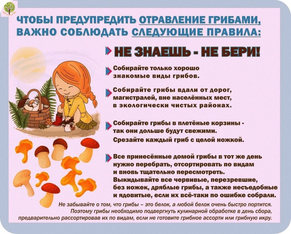 ���� ���������: ������������ ���������� �������