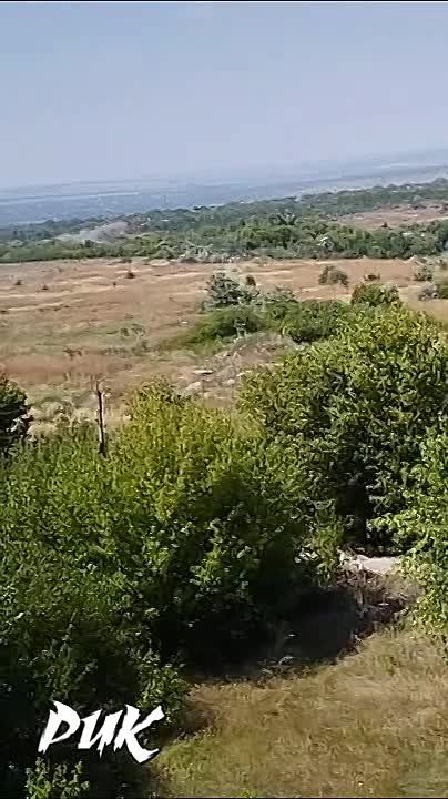������� ��� ����� ������� ������ ������ ��������-������