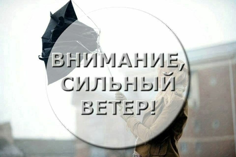 ���� ���������: �������� ���������: ��������� ������� �����