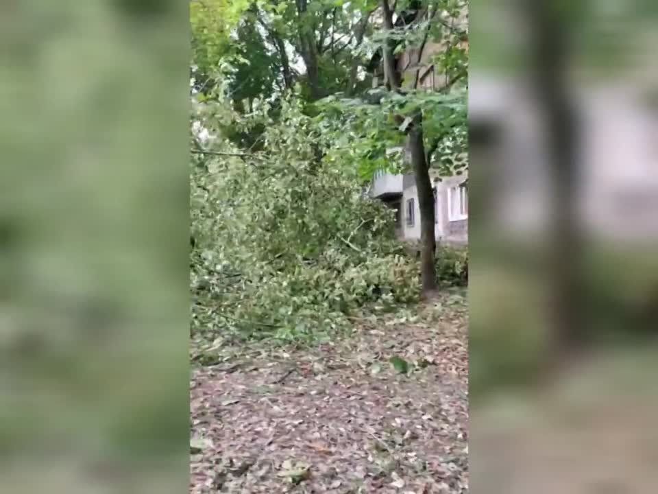 ����� ����������� ��������� �� ������� �������� ��� �� ������������� ������ �������