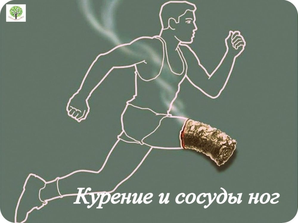 ���� ���������: ������������ �������������: ������� � ������ ���