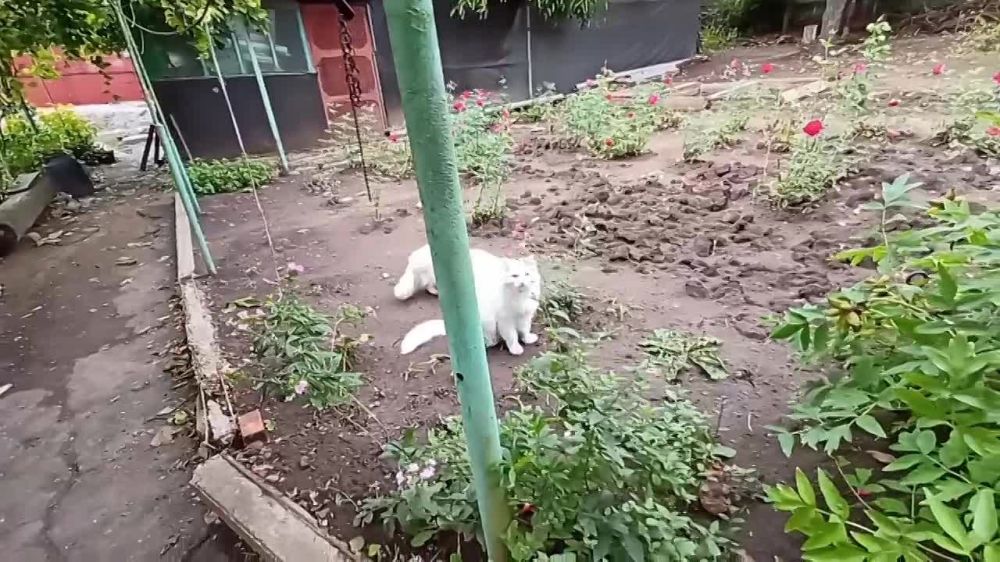 ������, ����� ���������� ��������� ������� ��������