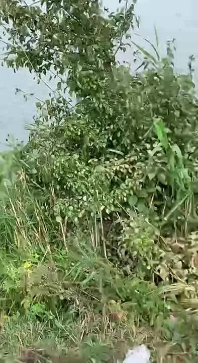 ���������� ������� ����� ������� ��� ��������������� � ������� ����� ��. �.�