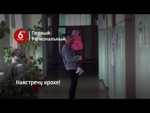 ���� ���������: