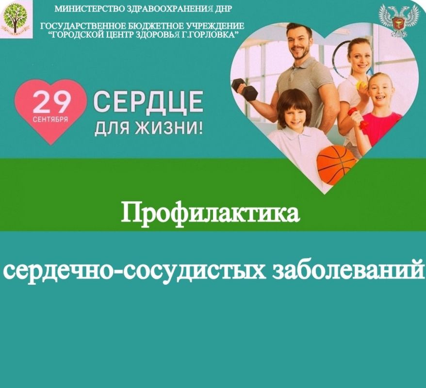 ���� ���������: ������������ ��������-���������� �����������