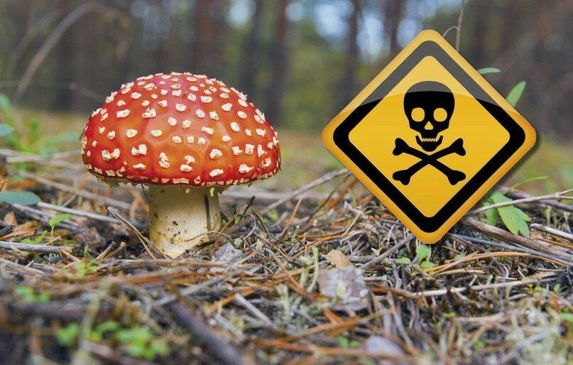 ���� ���������: ���������, �������� �����!
