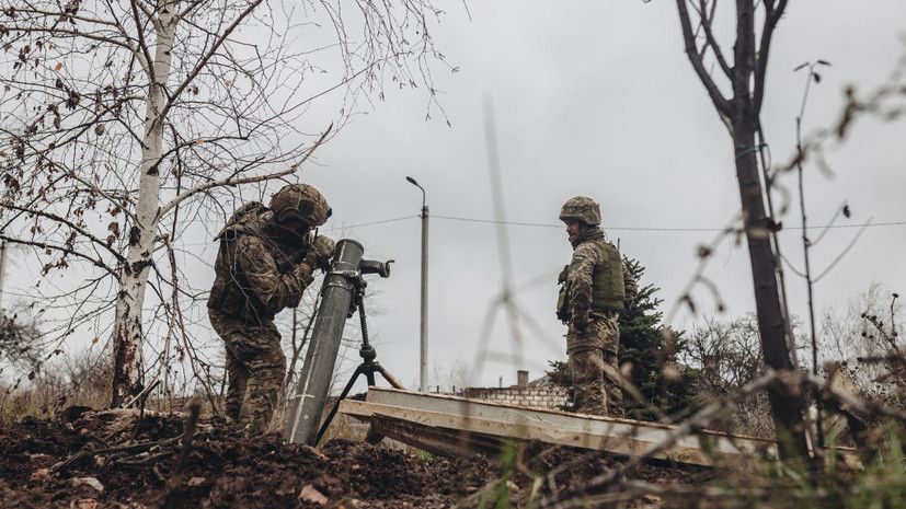 ��� ���������� ������ �������� � ��������, ����� ������ ������