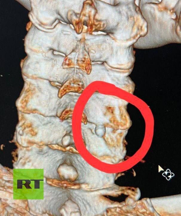 ����� Telegram-������ ��� N3 @dimsmirnov175