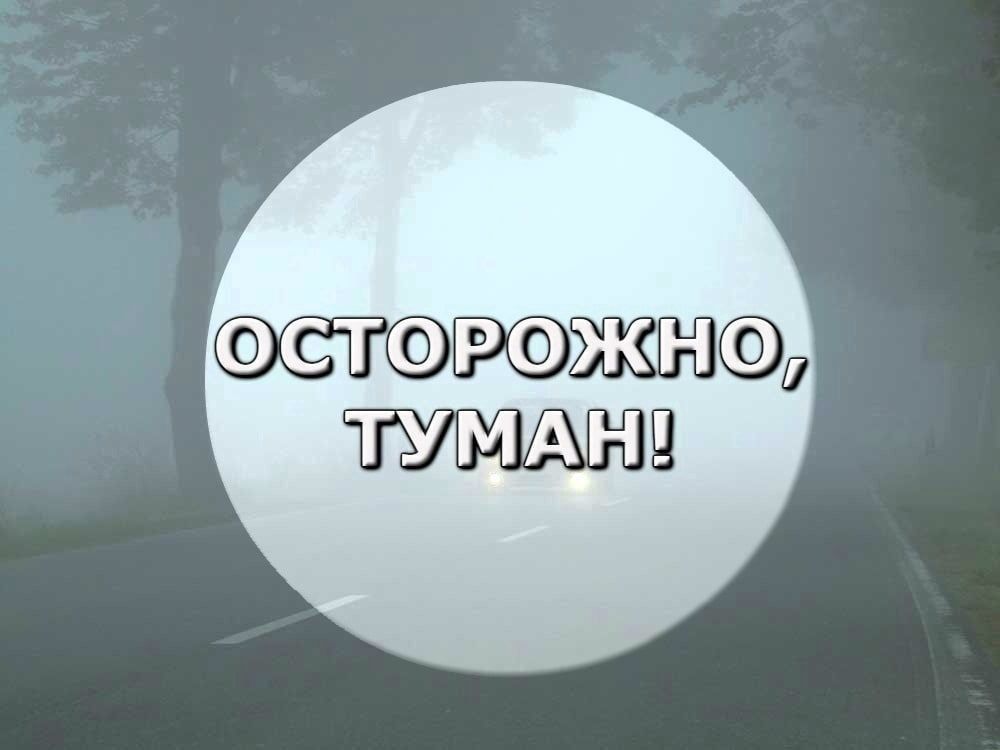 ���� ���������: ��� ���: ��������� �����