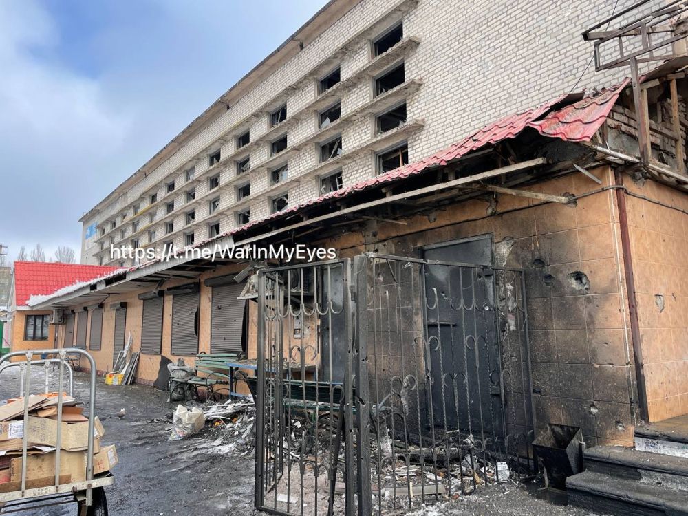 ��� ���� ������� �������� ��������