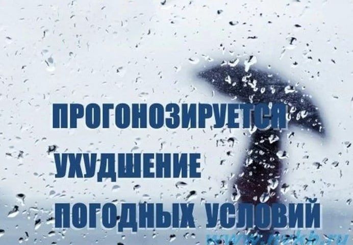 ��� ���: ��������� ��������� �������� �������
