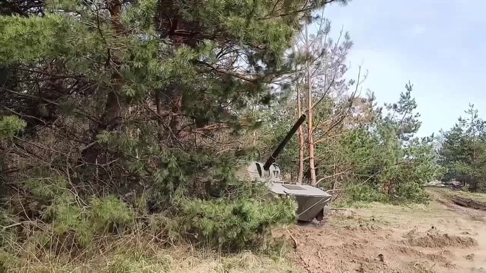 ������ ������������ ������� ���������� ��������� � ���� ���������� ����������� ������� �������� (13.04.2023 �.)