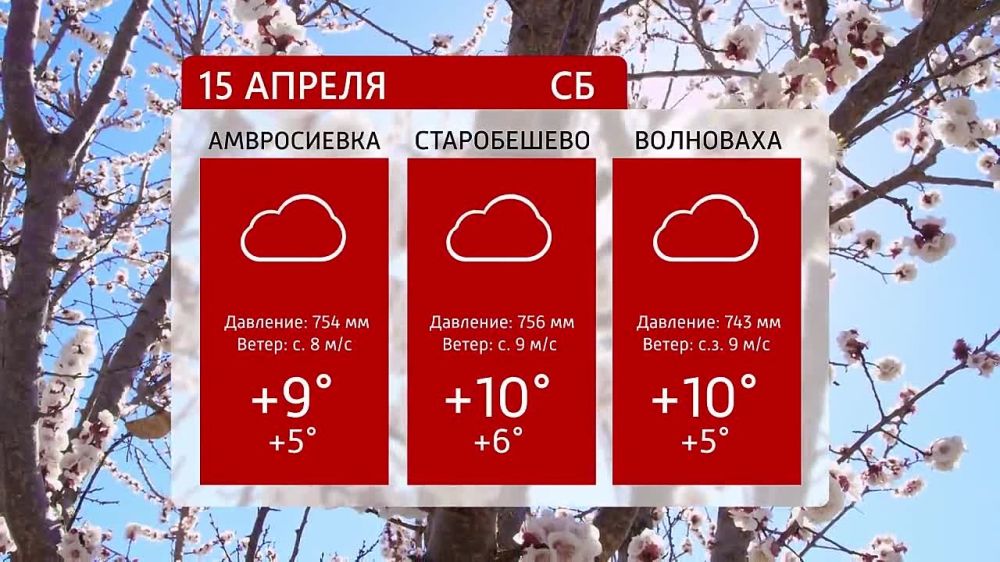 ������ �� ���������� 6�� 15.04.2023�