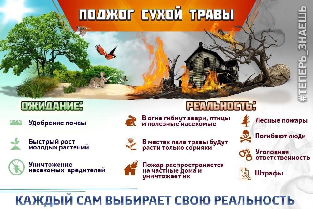 ��� ���: ������ ����� �����