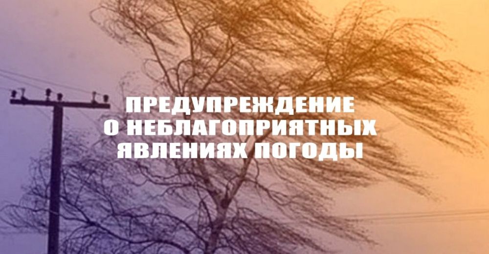 ������������� �����������