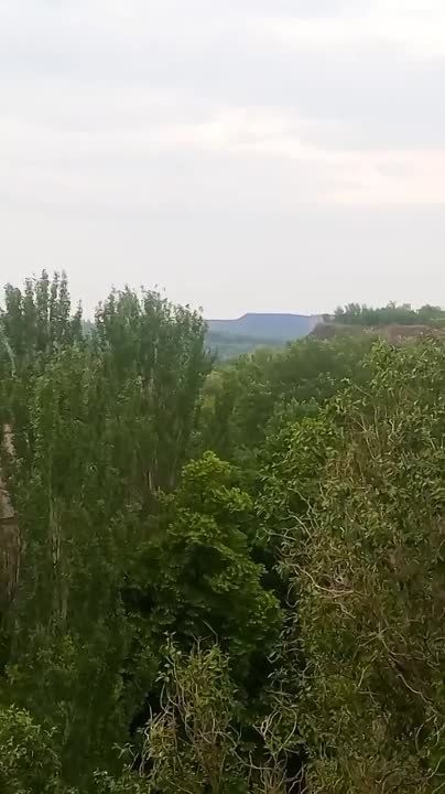 � ���������� �������� ���������� ������������ (����������� ����� ��������) � ������� ���������� �������� ������ �������
