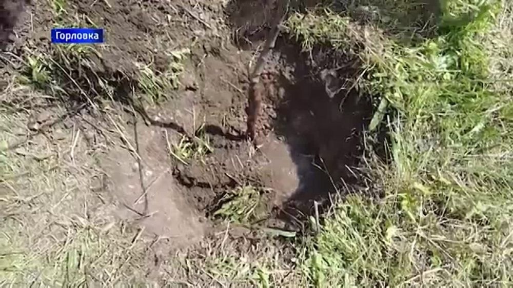���� ����� ��������� � ��������