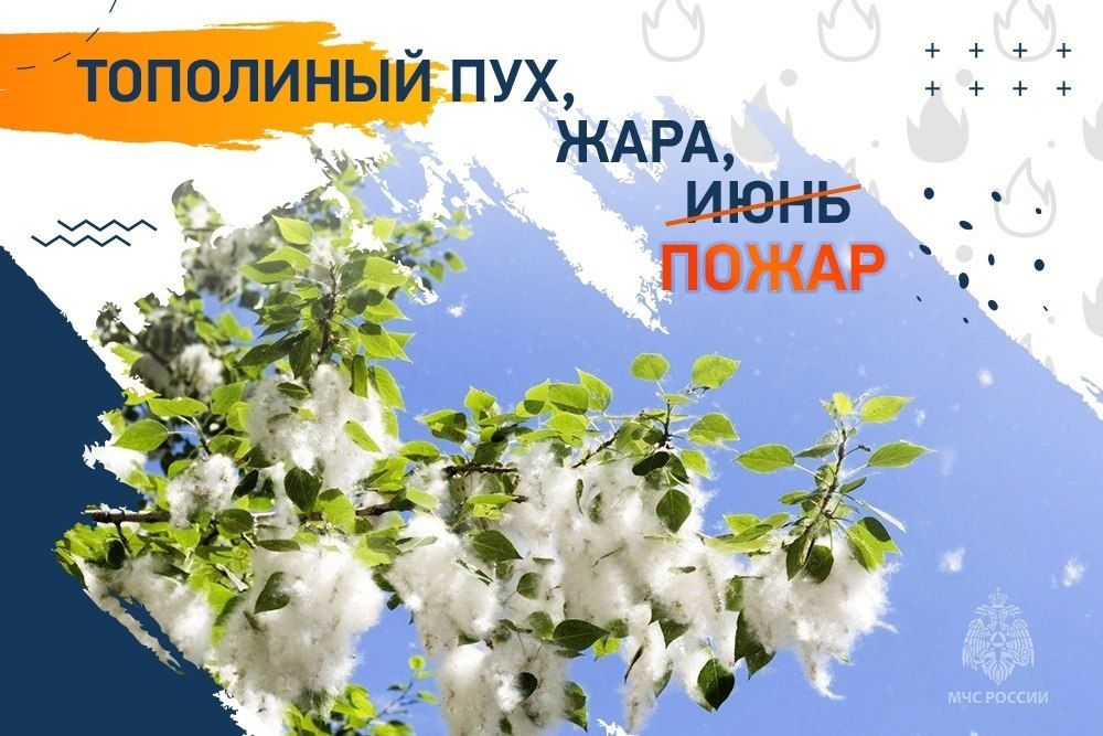 ��� ���: �������� ��������� ���������� ����