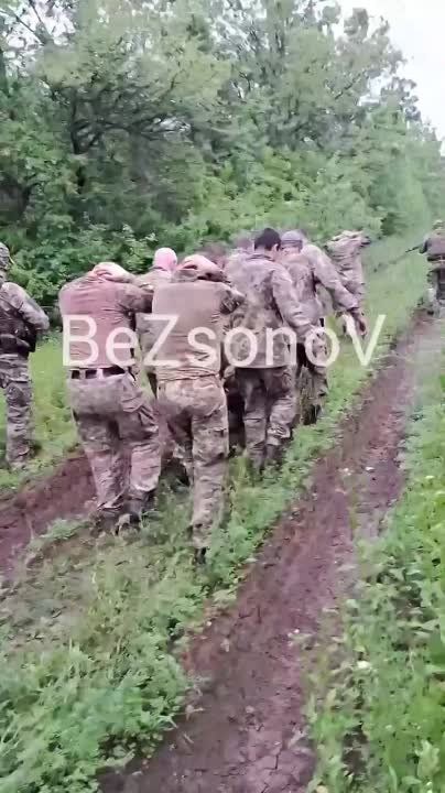 ����� �����: ���������� ������� �� ���������� �����������