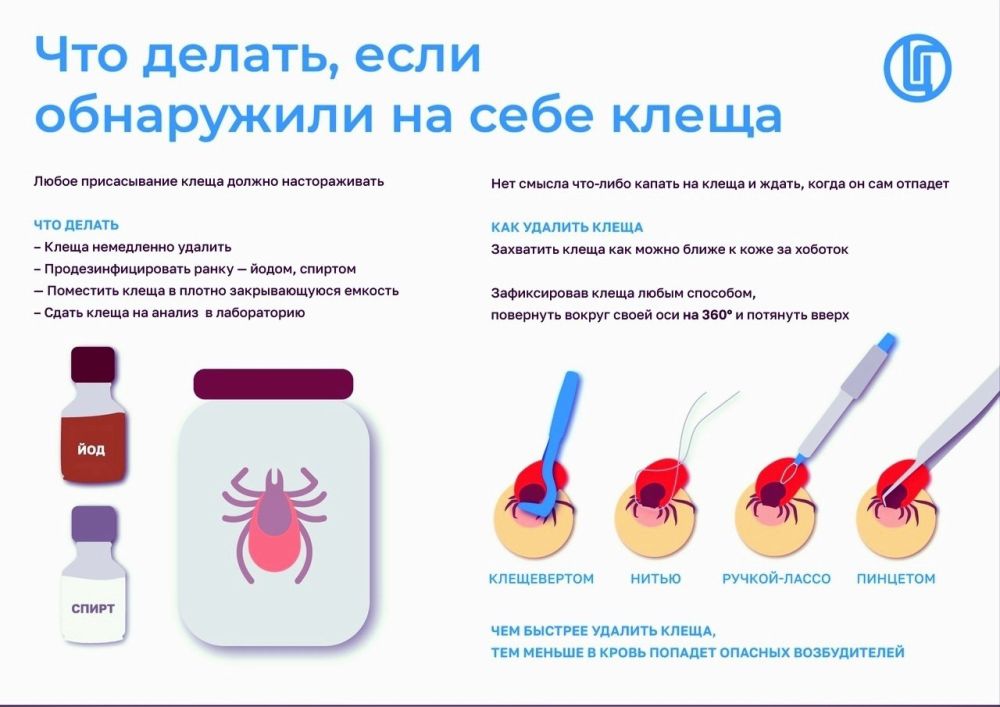 ��� ������, ���� ���������� �� ���� �����