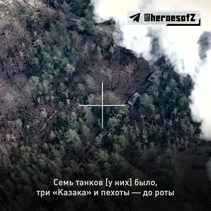 ������� ����� � ������� ���. �� ������ �� ������ �� ��������� � 2020 ����, ����������, ����� ����� �����