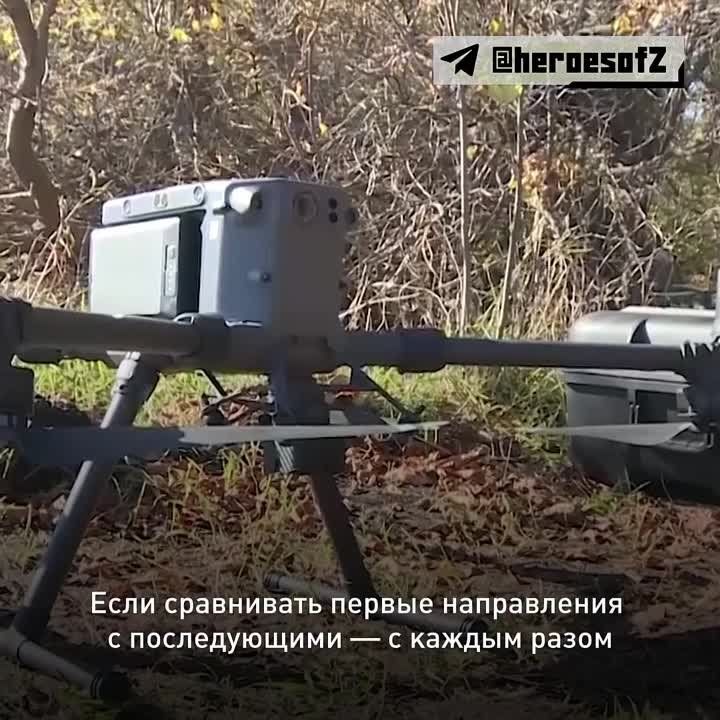 � ����� ������ ������������ �����, ������� ���������, �������� ���������������� ������