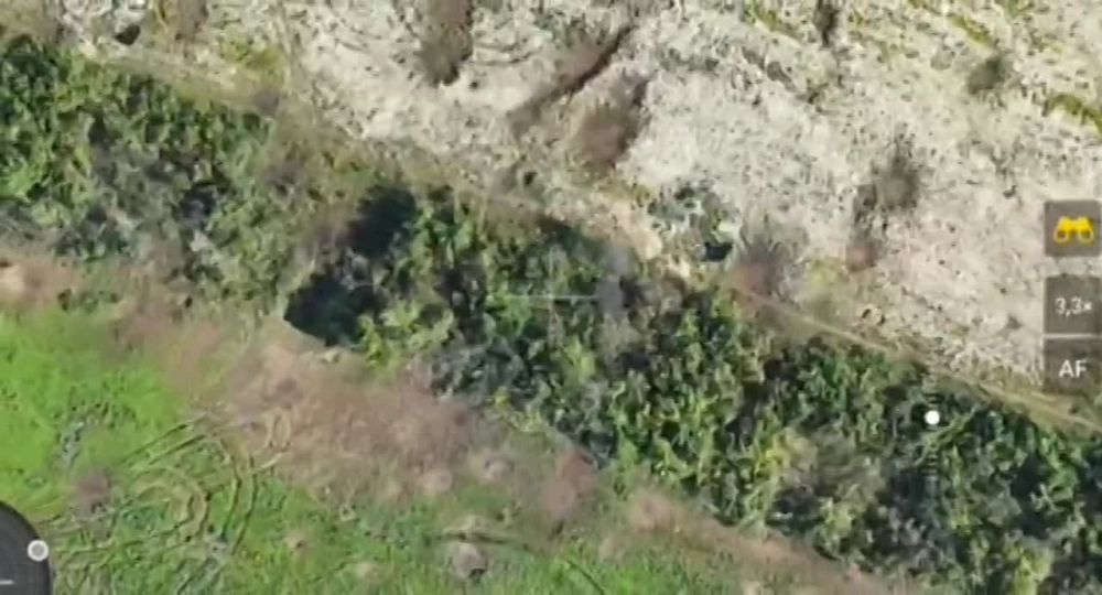 ��������� ����� ��������� ���������� ����� �� ���������� ����������� ������ ���������� 132-�� �������