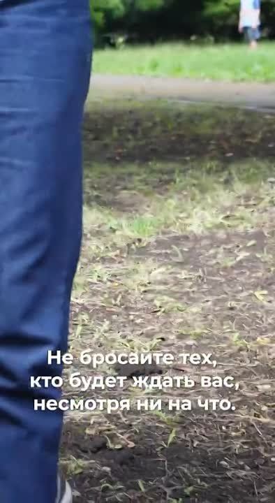 ��� ������ ������� ������� � ���, ��� ��������� ���, ���������� ��������, ����� � �������, ����� ������� ���