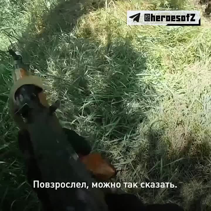 ���� ������ �� ��������� ��� ���-����������, ����� �������������� ���. � ������� ������ ������ ������ �� ������� � ���� �� ���. ���� ��� ���� ����, ������ � ������