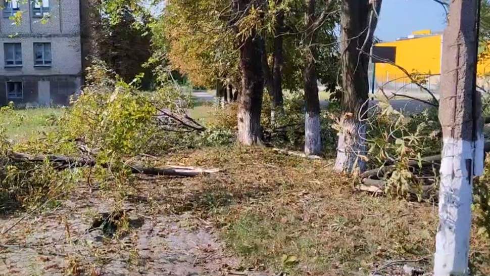 ����� � �������� �������� ����������� ����� �������� �� ������� ���