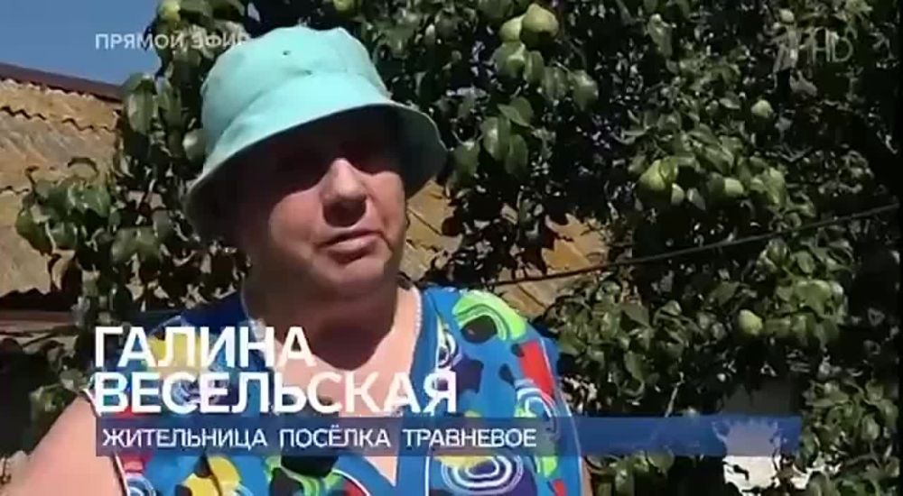  :    :