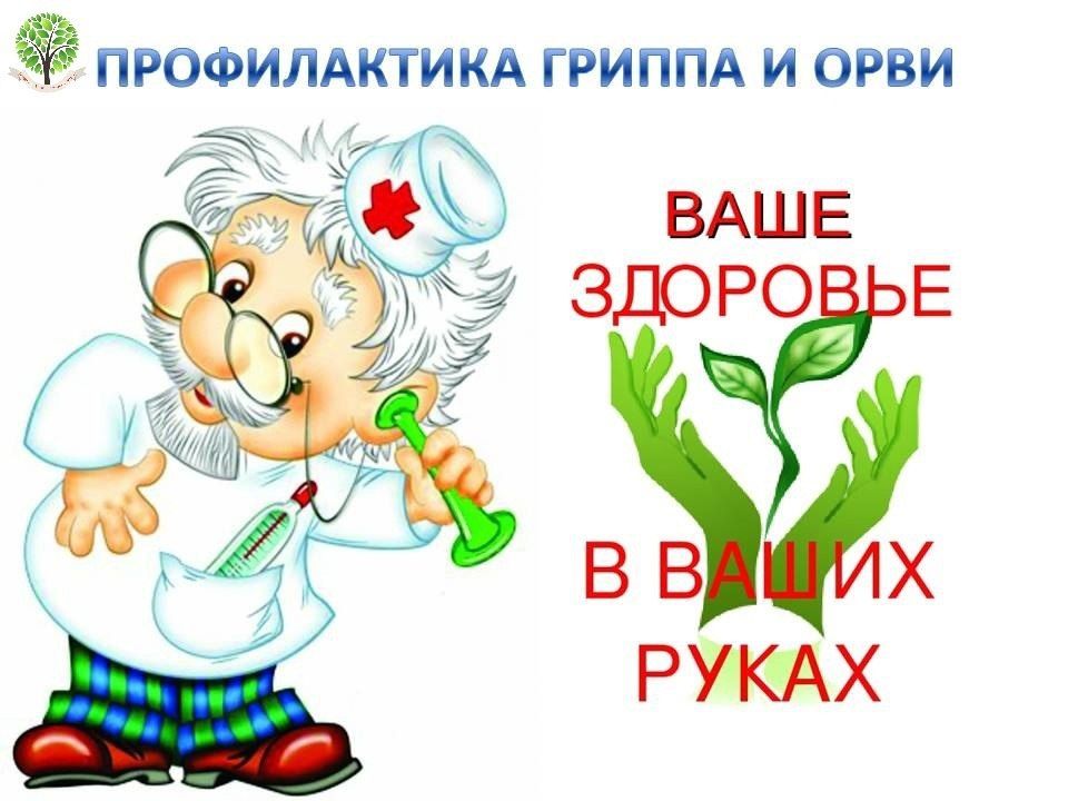 ������������ ������. ����� �������� ������������ ������������, ������������ ��������-��������� �����. �������� �������� - ������� �������, ������� ������ ��� ���������� � ������� 7 ���� �� ������ �������