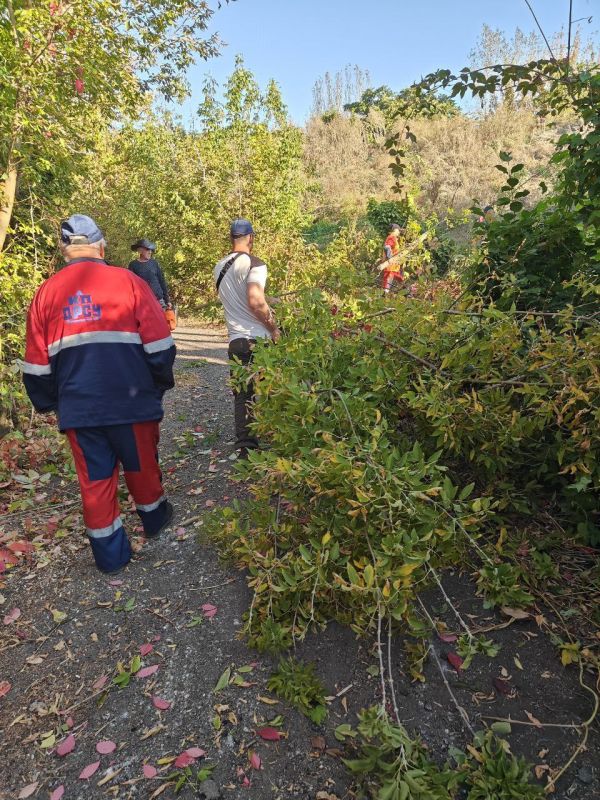 ������ ��������: ��� ��� "����" ��������� ������ �� ������� ������� ����������� �� ����� �������������� � ����������� ������ �������