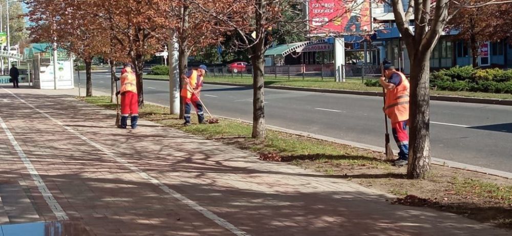 ������ ��������: ������������ "����" �������������� ������ ������ ���� � ��������� � ����������� ����� ������-����� �������