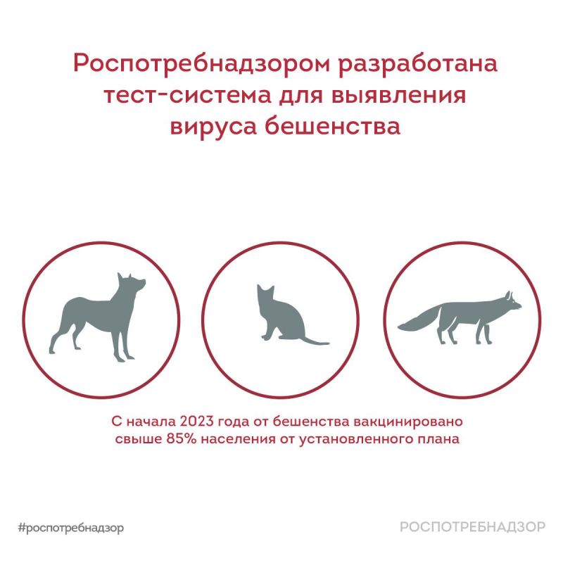����������������� ����������� ����-������� ��� ��������� ������ ���������