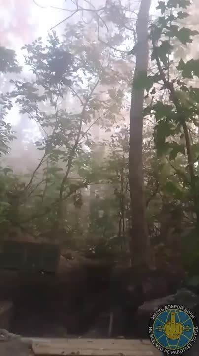 �������� �����: ��� ��������� ��������� ��� �������� ������� �� ��� ��������� � ���