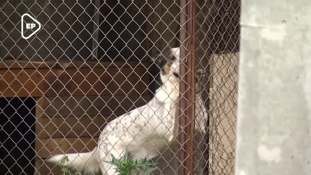 ������ ������ � ���� � ���� �������� ���������� ������� ��������� ������ ���