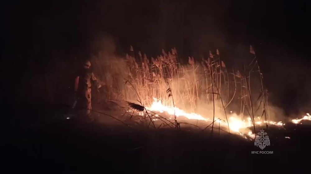 ���������� ��� ������������� ����� � ����������-��������� ������ ��������