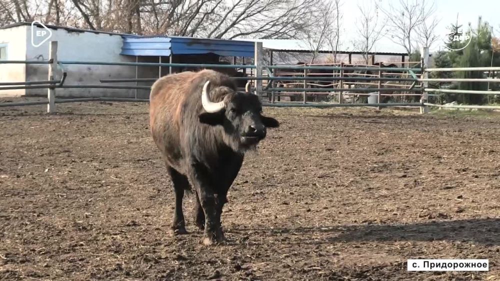 ��������� ����� ��� ����. ������� � ����������� �������� � 1982 ����. ��� ���������� � ��������� �������� �������� ������...