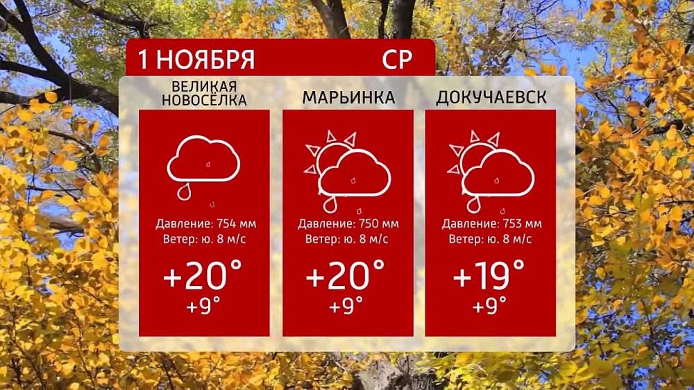 ������ �� ���������� 6�� 01.11.2023�.