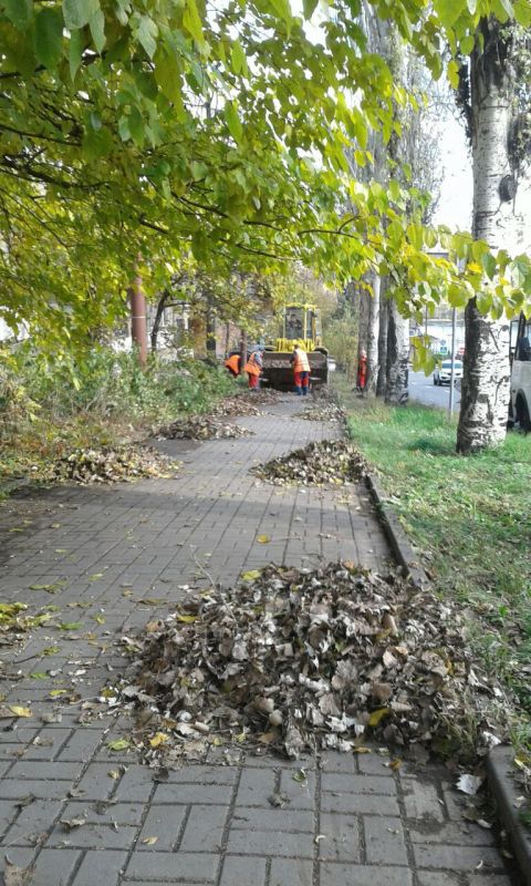 ������ ��������: ���������� "����" ���������� ������ ������ ���� � ����� � ����������� ����� ������� �������� �������� ����������