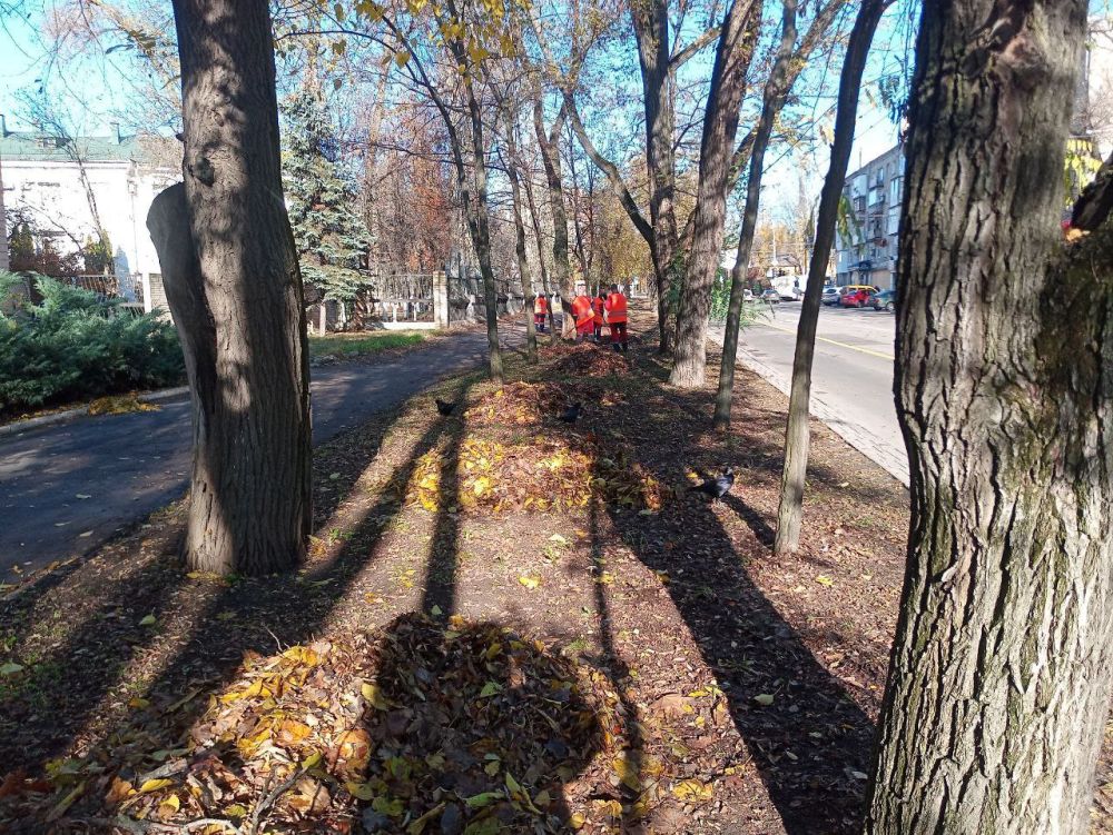 ������ ��������: ��� ��� "����" ������������ ���������� ����� �� ������ ������ ���� � ��������� � �������� ������ �������