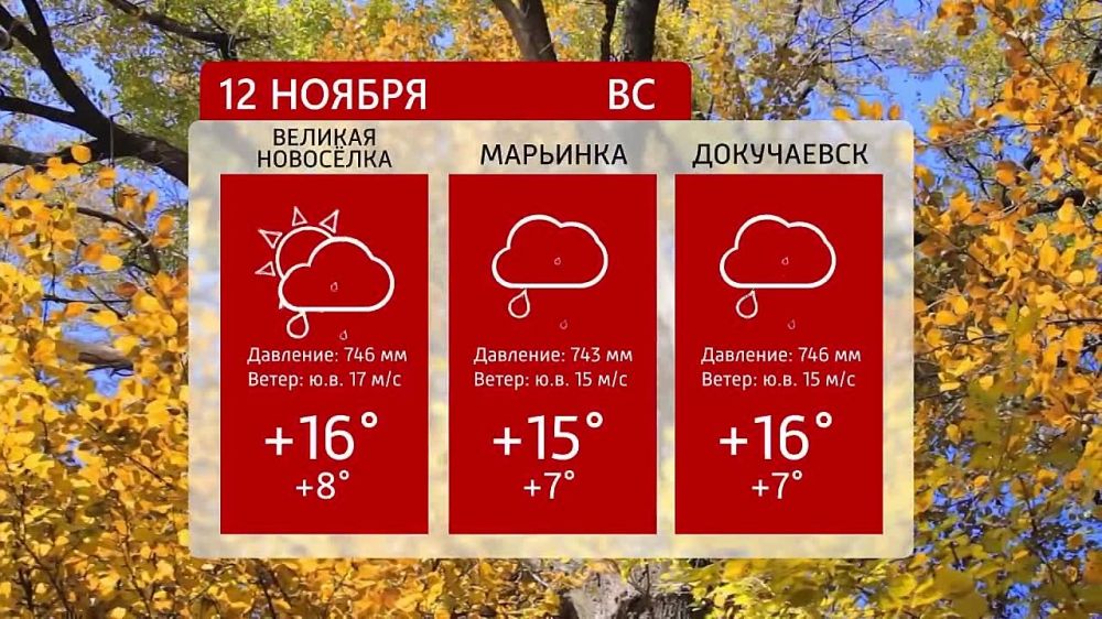 ������ �� ���������� 6�� 12.11.2023�.