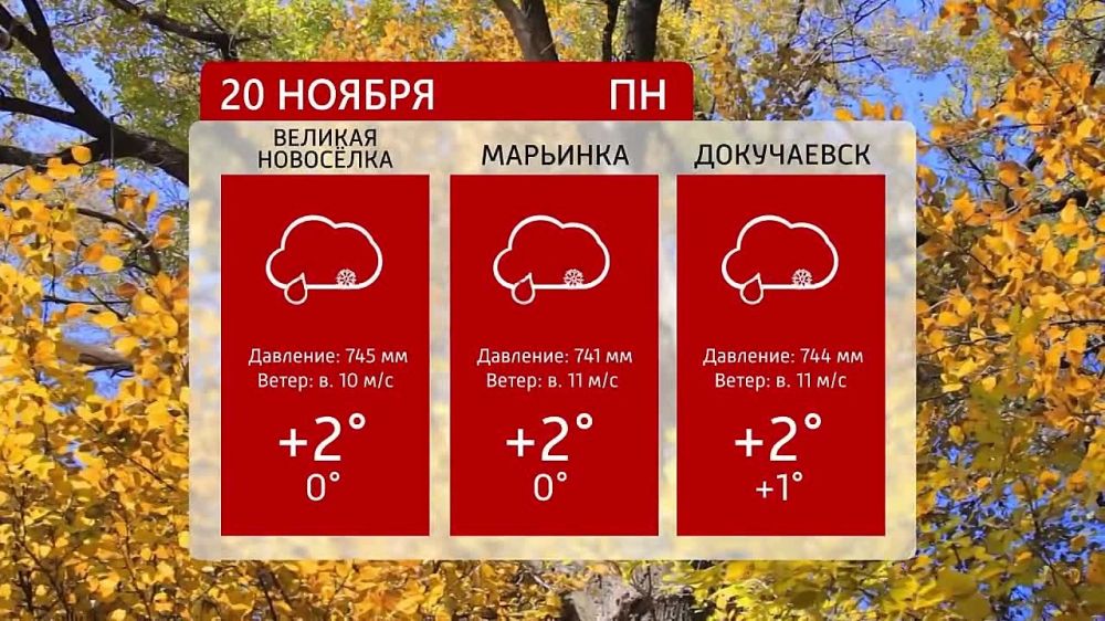 ������ �� ���������� 6�� 20.11.2023�.