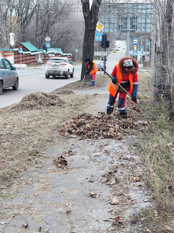 ������ ��������: ���������� "����" ���������� ������ ������ ����� � ����������� ���������� �� ��������� ��������� � ������������ ������ �������