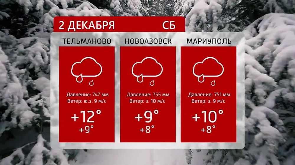 ������ �� ���������� 6�� 02.12.2023�.