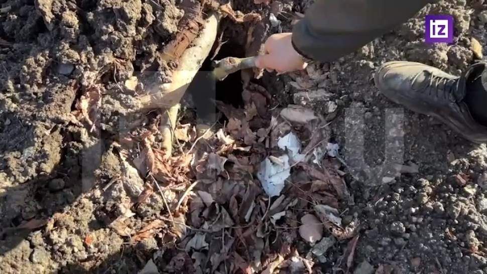 � ��� ������� �� ���������� ����������� ��� ��� ��������� ������������